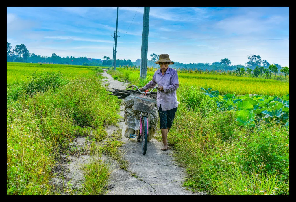 PMH_1811 copy - ảnh của Ngài Moon