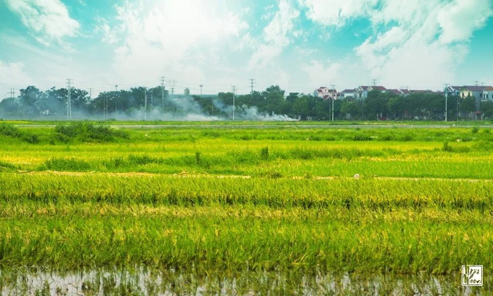 My hometown - ảnh của Ngài Moon