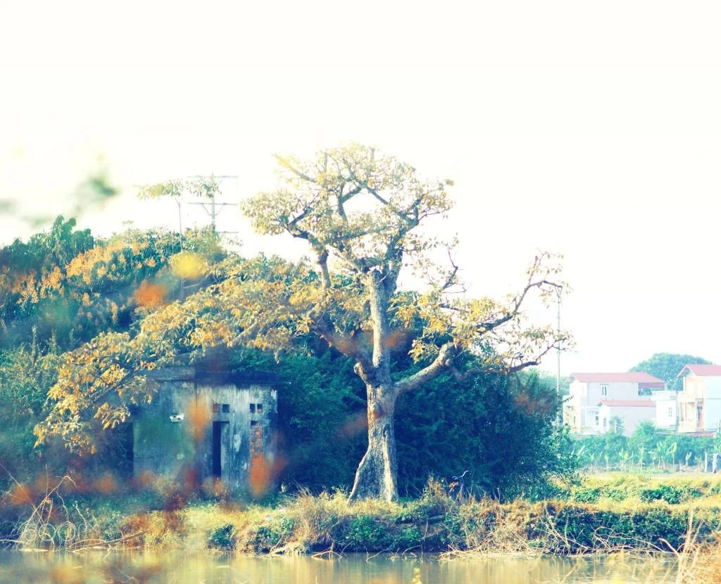 o - ảnh của Ngài Moon