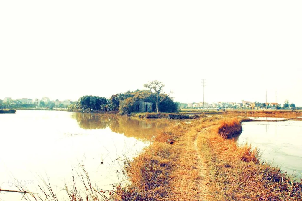 o - ảnh của Ngài Moon
