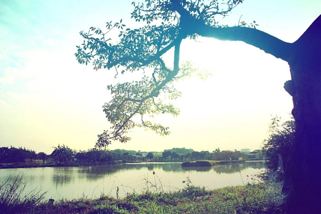 o - ảnh của Ngài Moon